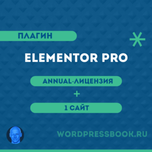 Elementor Pro